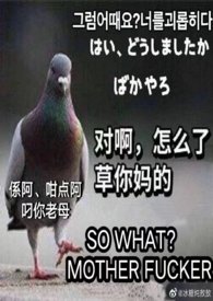 炮灰皇子卷土重来