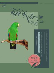 阴夫凶猛