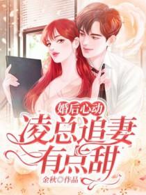 总裁请止步txt