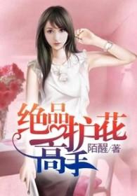 校园绝品护花高手