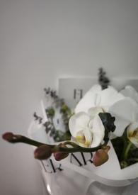 我的未婚妻居然是主角? 我的未婚妻居然是主角?