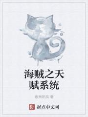 海贼之天赋系统 阅读