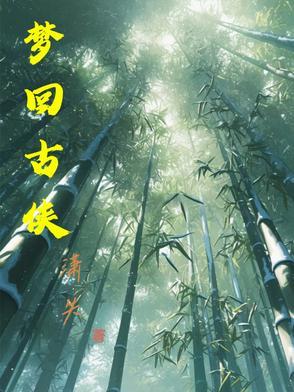 梦回古代电视剧 梦回古代电视剧