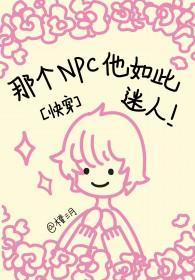 那个npc他如此迷人快穿