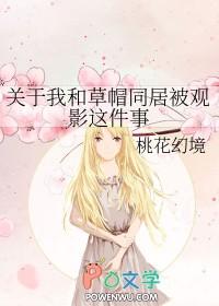 草帽海贼团的cp 草帽海贼团的cp