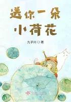 送你一朵小荷花歌曲原唱