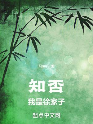 知否我是徐家子电子书
