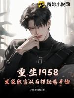 重生1985我发家致富江辰
