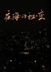 夜海是什么意思