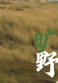 旷野之境