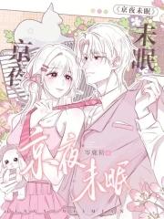 电视剧北京夜未眠