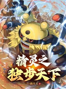 宝可梦中的神 宝可梦中的神