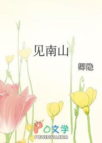 见南山的见