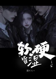 软硬的意思是什么