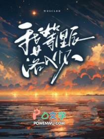 我等星星坠落