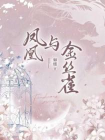 凤凰与金乌