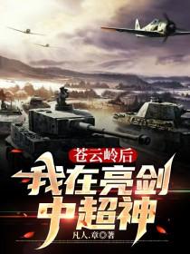 苍云岭之战 苍云岭之战