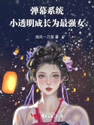 弹幕流