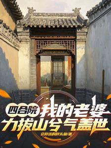 四合院我的老婆力拔山兮气盖世3Q