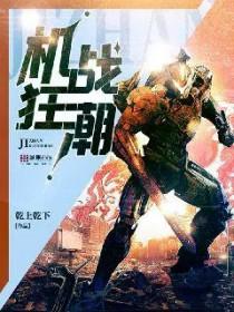 机战狂潮 乾上乾下 机战狂潮 乾上乾下