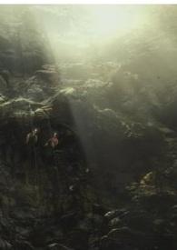 黑色死神形态 黑色死神形态