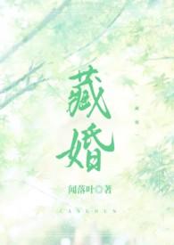 藏婚书籍 藏婚书籍