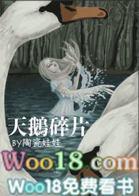天鹅碎了寓意
