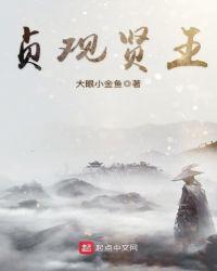 贞观贤王123
