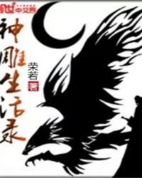 神雕阅读