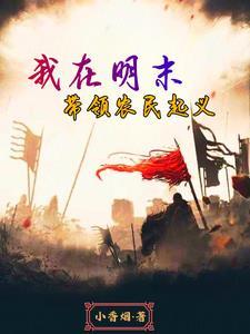 穿越明末力挽狂澜的 穿越明末力挽狂澜的