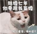 结婚7年离婚后我该提什么要求 结婚7年离婚后我该提什么要求