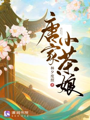 唐家小猫免费阅读