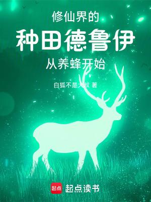 德鲁伊p1 德鲁伊p1