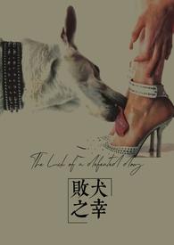 败犬 电影