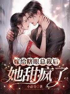 嫁给瞎眼王爷后 嫁给瞎眼王爷后