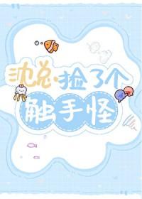 触手向是什么意思