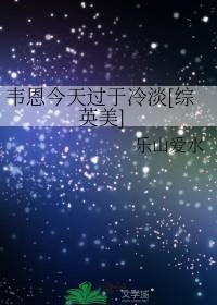 韦恩小姐 综英美