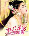 第一章极品美男的基因是那部