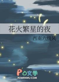 花火繁星的夜 花火繁星的夜