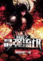 网游之最强流氓 网游之最强流氓