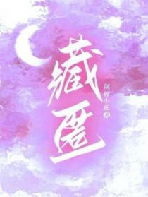 藏匿 藏匿