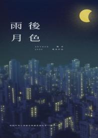 雨后月色 雨后月色
